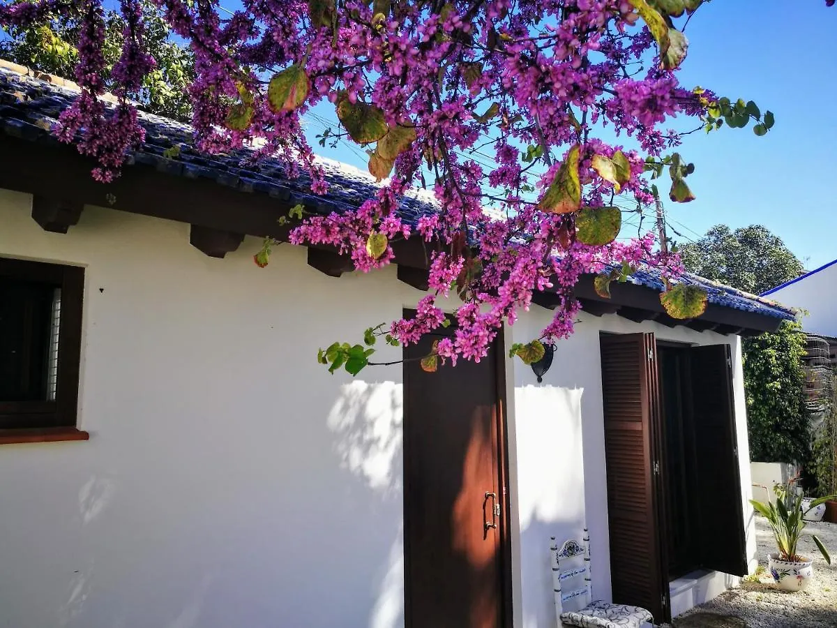 Guest house El Jardin De Azahar Hotel Malaga